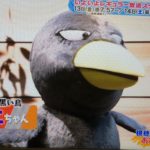 キョエちゃんの声優は?(NHKチコちゃん)プロフィールと出張画像!グッズとCG化は?【チコちゃんに叱られる】